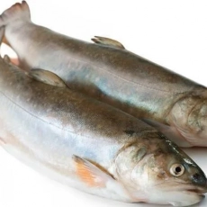 Голец  Камчатморепродукт - Рыбный Берег