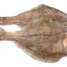 Камбала Б/Г Дальневосточная - Рыбный Берег