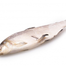 Сиг (пыжьян) - Рыбный Берег