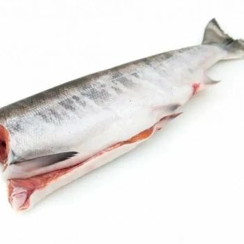 Кета Б/Г  - Рыбный Берег