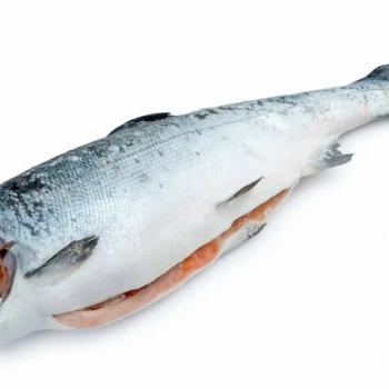 Кижуч Б/Г - Рыбный Берег